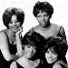 the chiffons